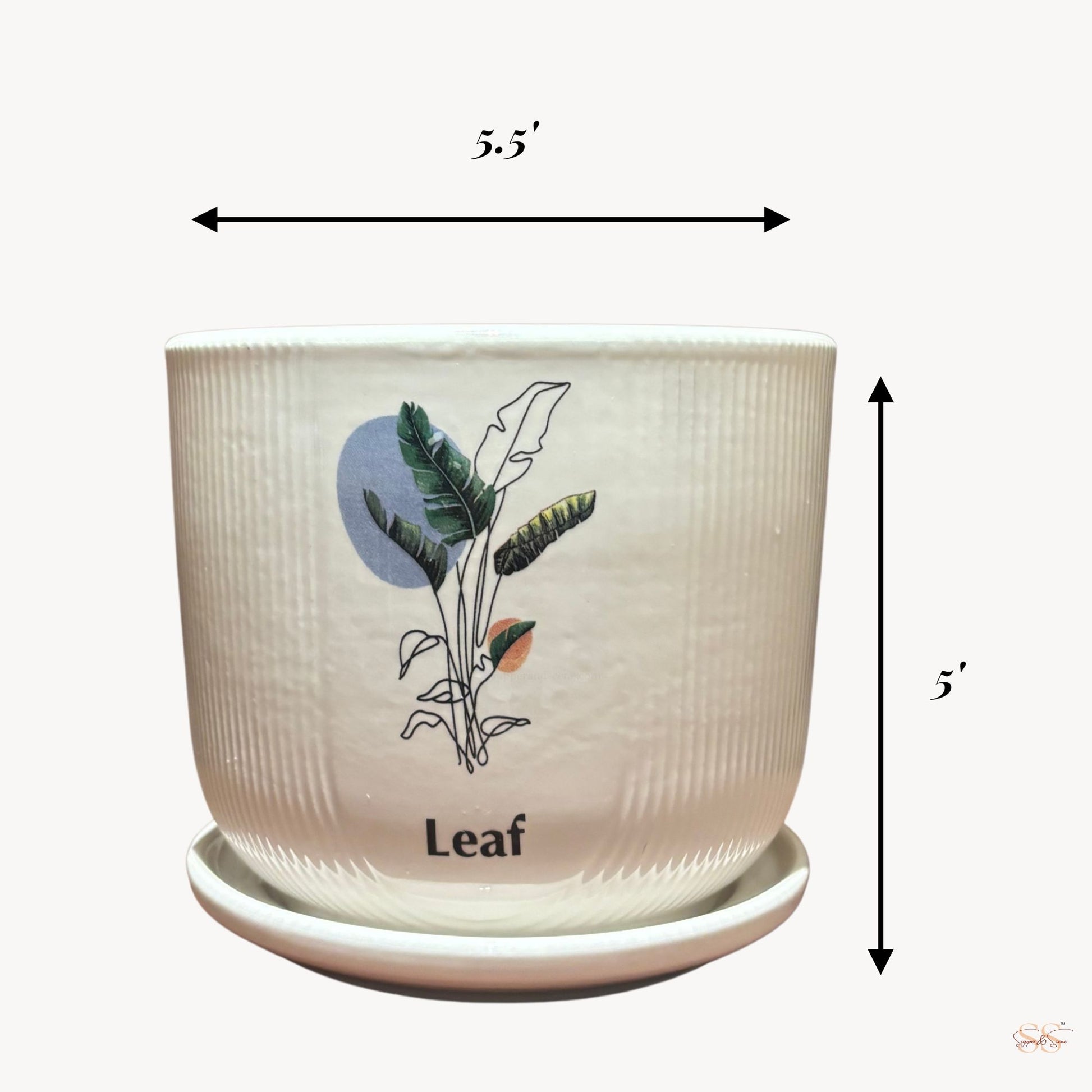 White ceramic leaf planter with tray 5 inch indoor plant pot botanical design decorative planter