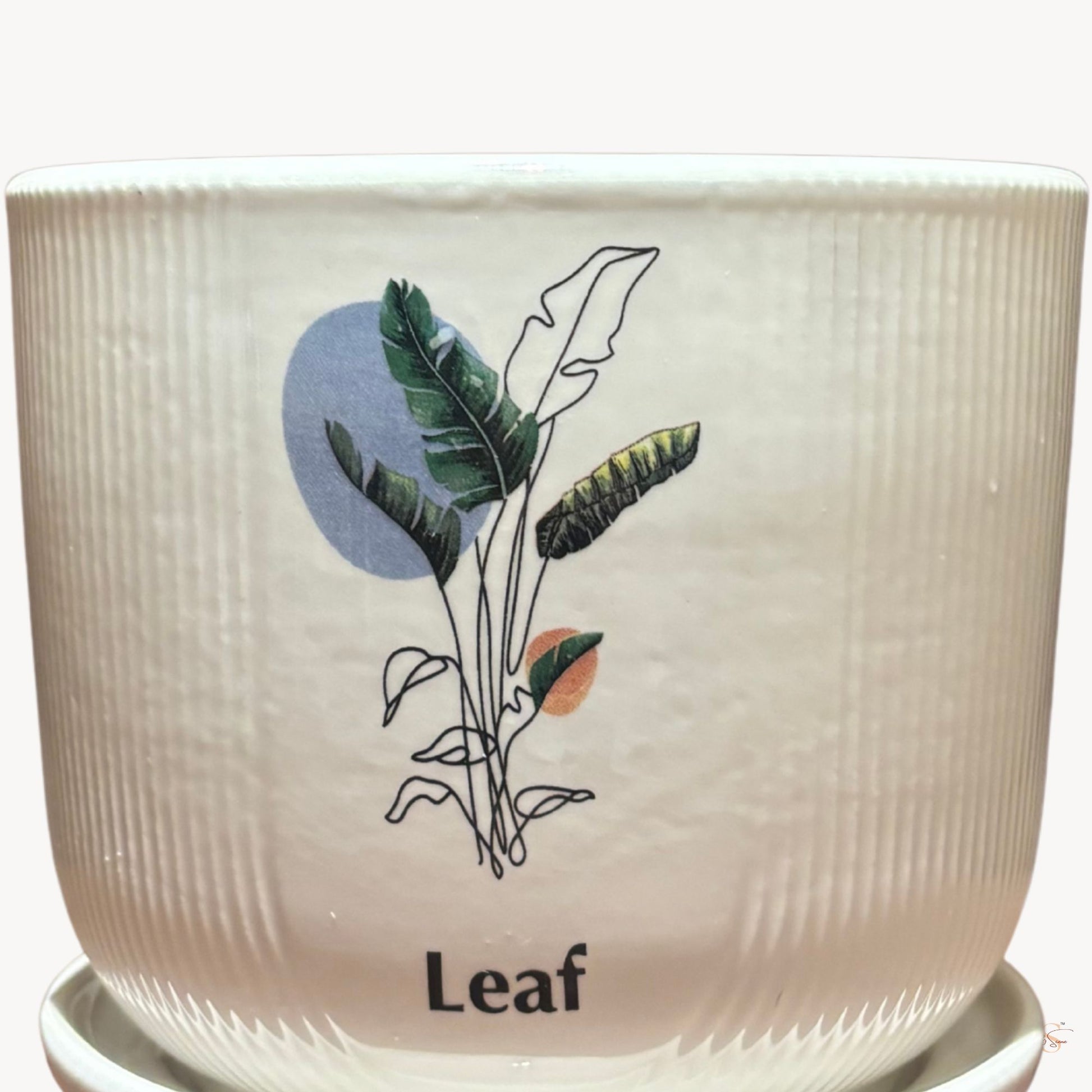 White ceramic leaf planter with tray botanical indoor plant pot decorative ribbed planter for small plants