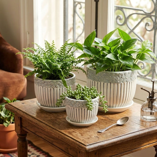 Grey ceramic planter set of 3 with trays styled with indoor plants on wooden table floral textured plant pots